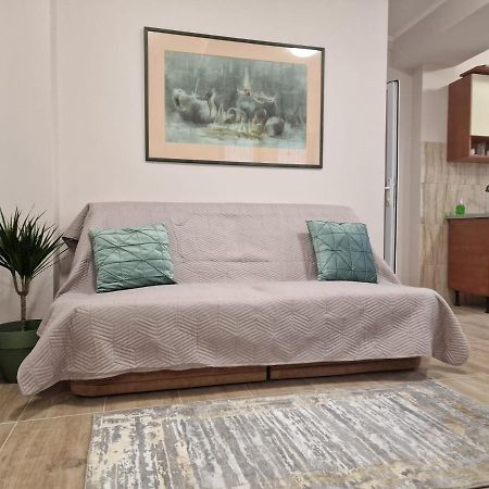 Laroka House Beautiful Apartment Universitate Center Boekarest Buitenkant foto
