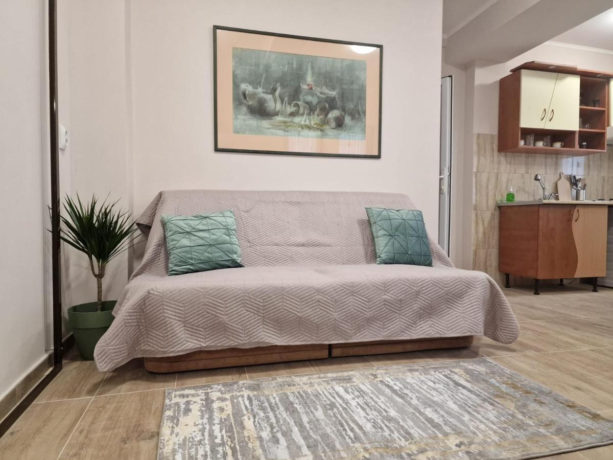 Laroka House Beautiful Apartment Universitate Center Boekarest Buitenkant foto